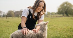 Read more about the article What’s the matter with the wool industry?