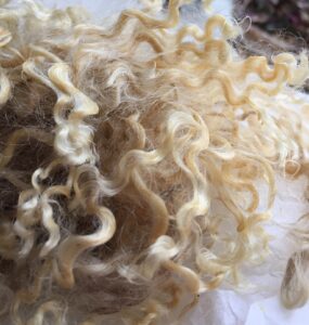 Read more about the article Natural vs Synthetic: the hidden frequencies of fibres