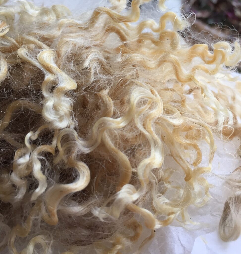 Wool fleece