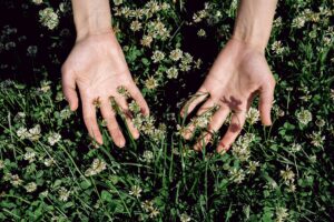 Read more about the article The unseen work of regeneration